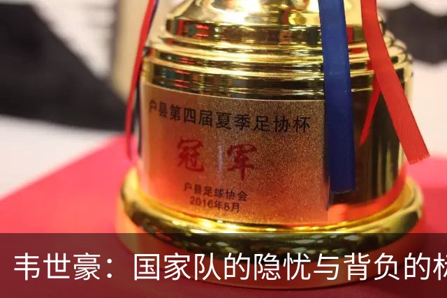韦世豪：国家队的隐忧与背负的标签